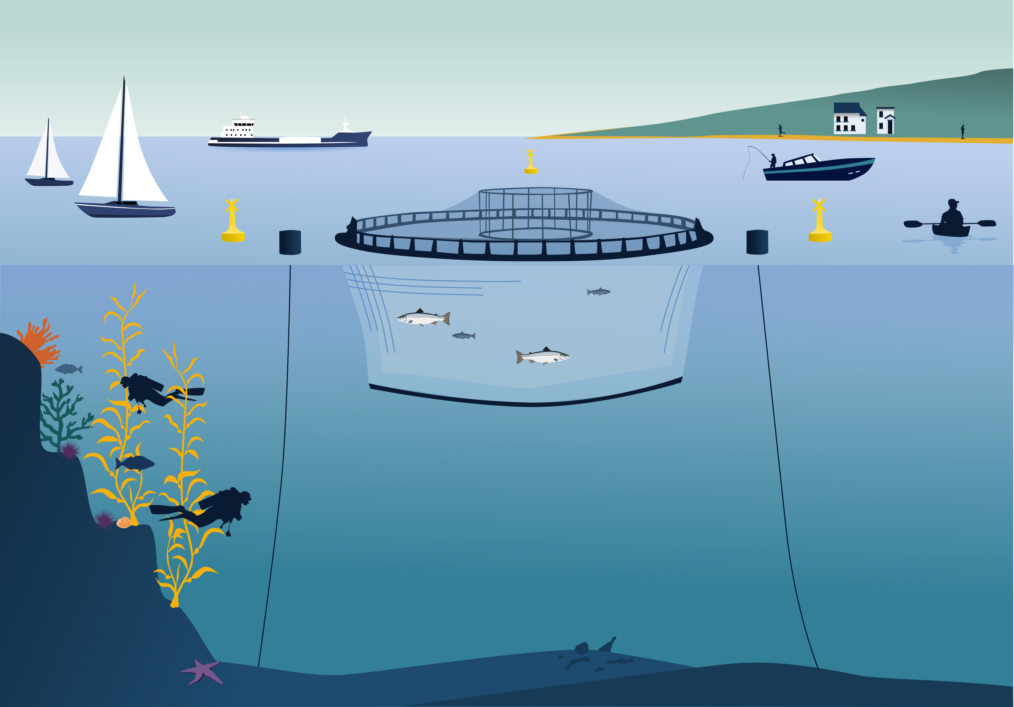 infographic of societal interactions with salmon farms