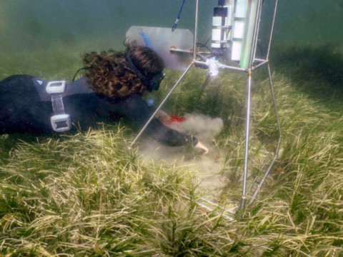 Monitoring and protecting the marine environment from farm nutrient discharge